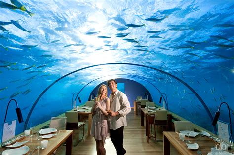 Underwater Dining in the Maldives - Alpha Maldives Blog