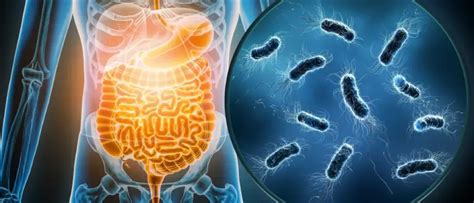 Gastroenteritis: Causes, Symptoms & Treatment