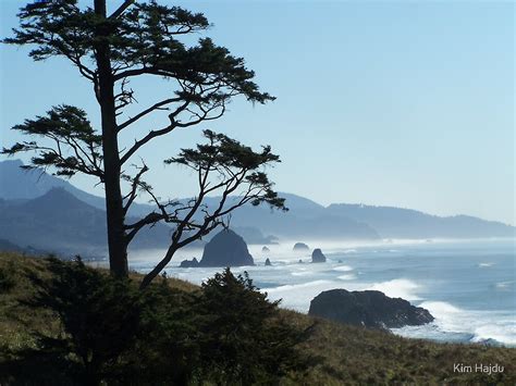 "Haystack Rock, Oregon" by Kim Hajdu | Redbubble