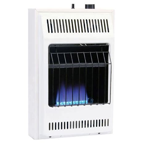 Williams 10,000 BTU/hr Blue Flame Propane Gas Heater with Automatic ...