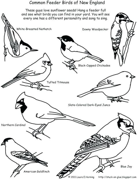 Chickadee Drawing at GetDrawings | Free download