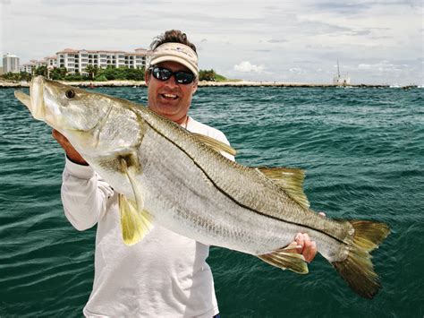 Top Snook Fishing Lures | Salt Water Sportsman