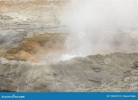 Steaming Geyser Vents at Fountain Paint Pots in Yellowstone National ...