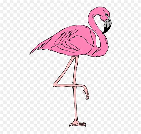 Flamingo Wallpaper Roblox - Bangmuin Image Josh