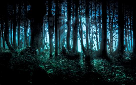 Spooky Night Forest HD Wallpaper