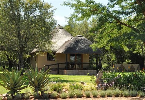 Ukutula Lion Lodge in Brits, North West Province