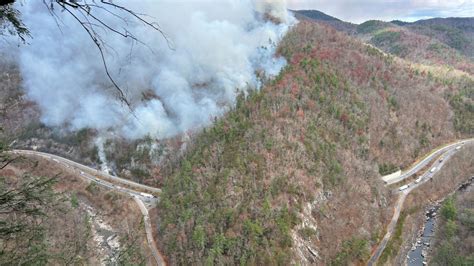 Wildfire update: Black Bear Fire expands to more than 1,000 acres in ...