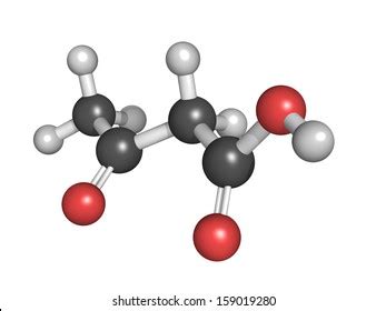 212 Ketoacidosis Images, Stock Photos & Vectors | Shutterstock