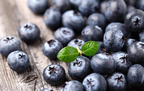 Bilberry, Bilberry Extract - What Are Their Benefits & Side Effects