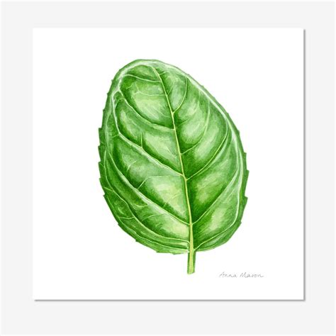 6" x 6" Prints Archives - Anna Mason's Online Shop: Modern Botanical ...