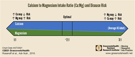 Understanding the Balance between Magnesium, Calcium and Vitamin D ...