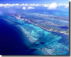 Ambergris Caye, diving, fishing, coral reef diving vacation! | Belize ...