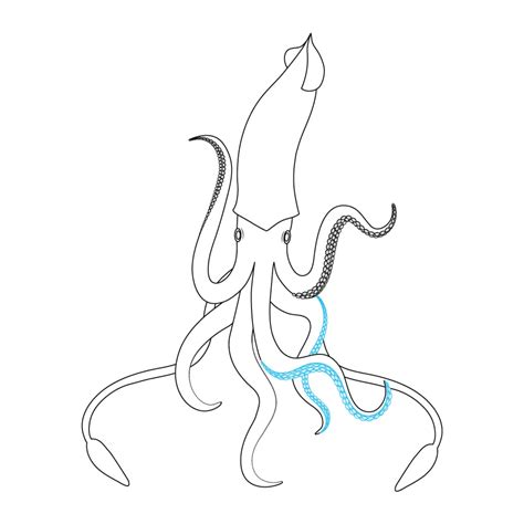 How to Draw A Squid Step by Step