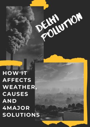 Delhi Pollution :How it Affects Weather, Causes and 4 Solutions - vinverse