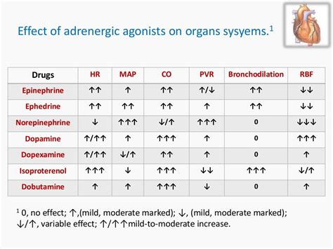 Inotropes and their choice