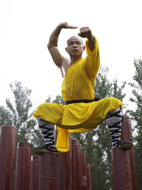 About | What Is Shaolin Kung Fu? | Shifu Yan Lei