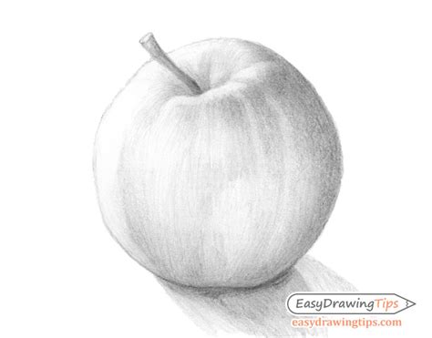 Apple Pencil Drawing Outline