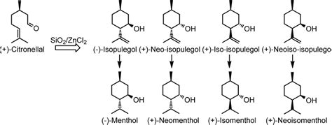 Industrial synthesis of menthol and its isomers from (+)-citronellal ...