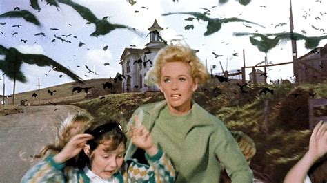 Pecking Order: Alfred Hitchcock's THE BIRDS At 60