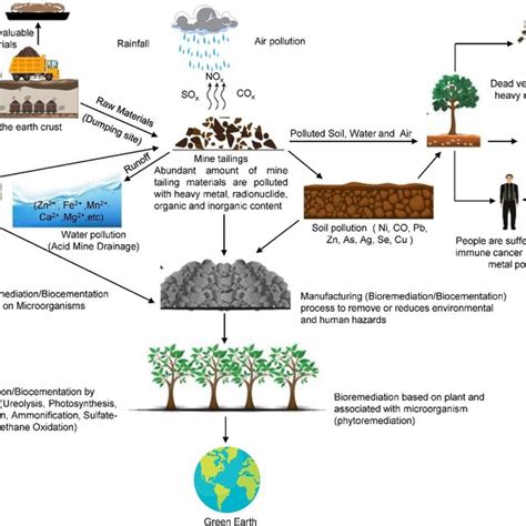 Mine tailings health and environmental impacts | Download Scientific ...