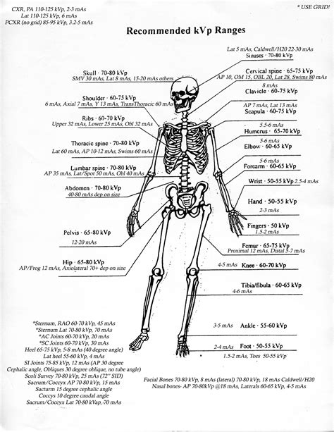 KVP / Mas Radiology Schools, Radiology Student, Radiology Technician ...