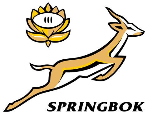 Springbok rugby, Rugby logo, Springboks rugby south africa