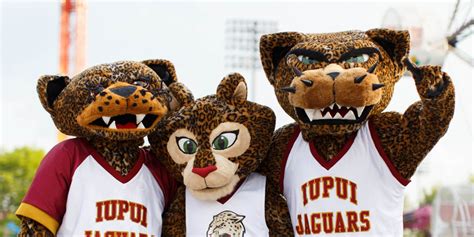 The fierce and the furriest: A crimson family of mascots: IU News