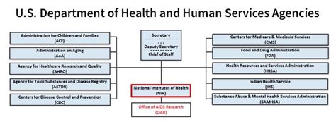 Organization | National Institutes of Health