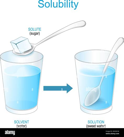 Solubility. Solutions. experiment with sugar and glass of water. Making ...