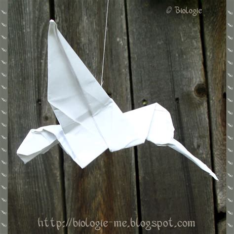 biologie.: Origami Hummingbird Tutorial