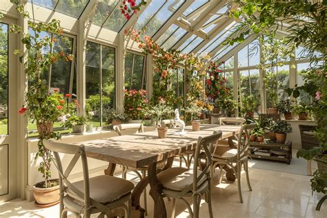 What to grow in a conservatory, from cacti and succulents to orchids ...