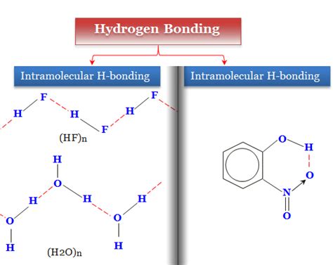 Hydrogen Bonding Examples