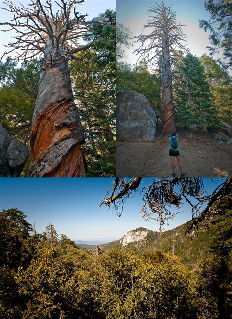 Steven Levesque Photography: Hiking in Idyllwild