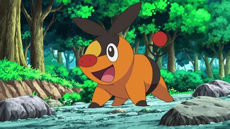 Tepig - Pokémon Image (20318533) - Fanpop