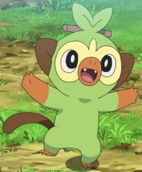 (810) Grookey (Screenshot) Grass Type Pokemon, Starter, Pikachu ...