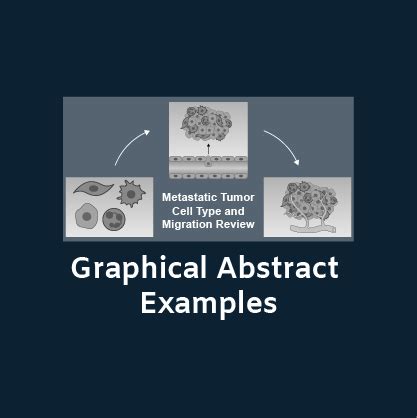 Best Graphical Abstract Examples with Free Templates