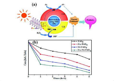 (a) Photocatalytic degradation of organic pollutants using NPs (b ...