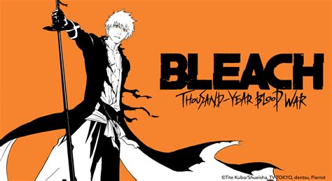 Will 'Bleach's' Thousand-Year Blood War Arc Get an Anime Adaptation ...