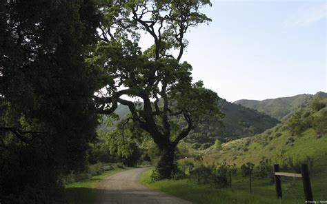 The Road Not Taken, north of San Luis Obispo, California, … | Flickr