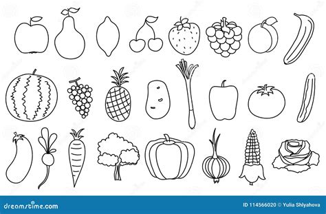 Share 153+ easy drawing of vegetables super hot - seven.edu.vn