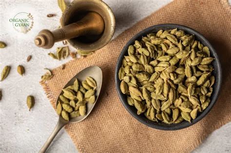 Cardamom Benefits Discover Health Aromatic Spice Advantage