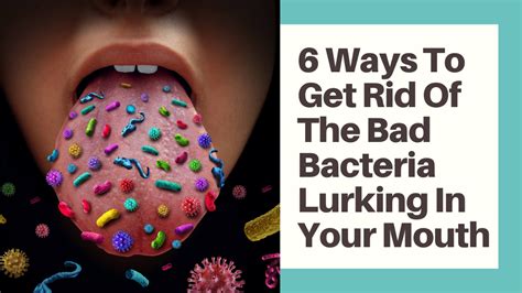 How To Get Rid Of Bad Bacteria In The Mouth: 6 Ways To Inactivate The ...