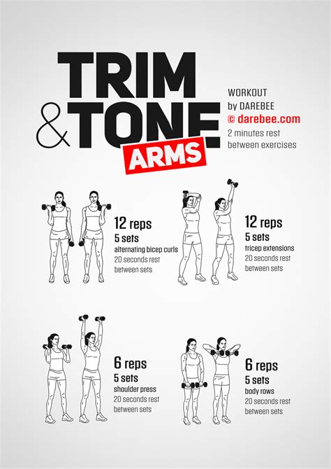 46+ Arm Workouts Exercises Background - arm and back workout