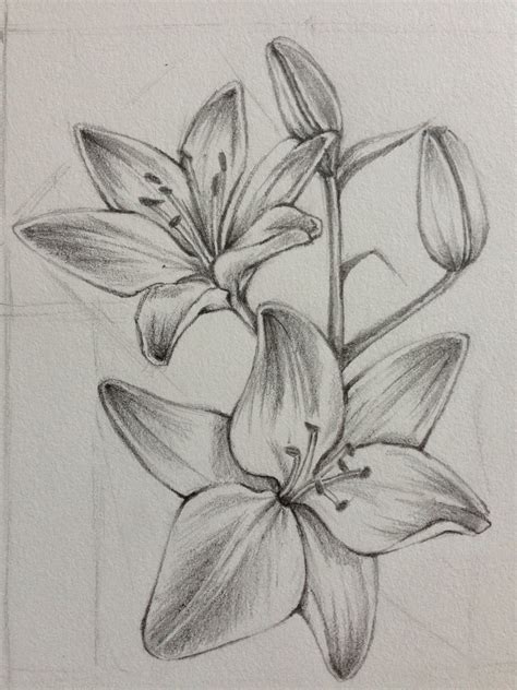 √ Realistic Flowers Drawing