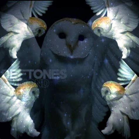 Deftones Diamond eyes Diamond Eyes, Madly In Love, Music Tv, Rock Art ...