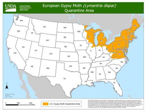 Gypsy Moths Want to Devour Your Favorite Destinations | USDA