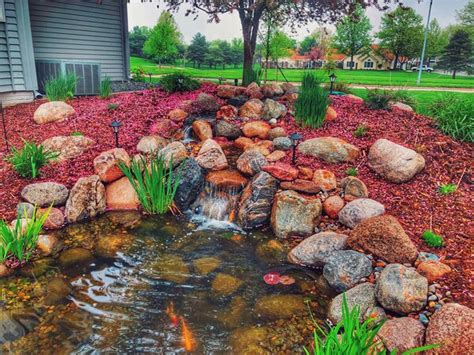 The Best Way To Clean A Koi Pond And How To Keep It Clean - Just Add Water