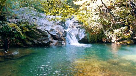 Pelion Hiking Tour "Lost in the Forest" - YouTube