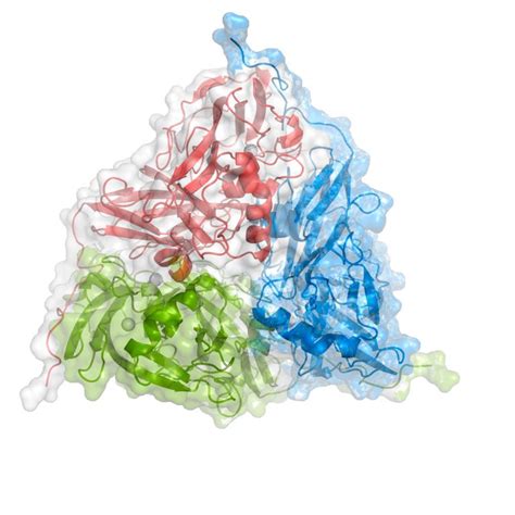 Demystifying denitrifying bacterial enzymes