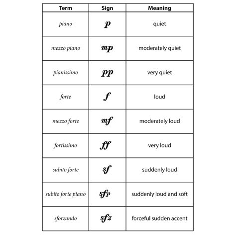 What is Music Theory? The Basics Every Beginner Should Learn